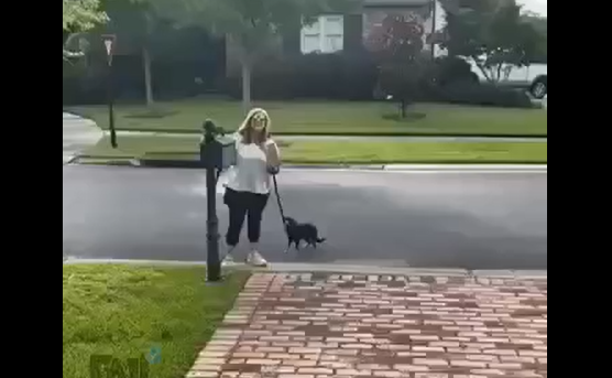 �������� ������� (�����)