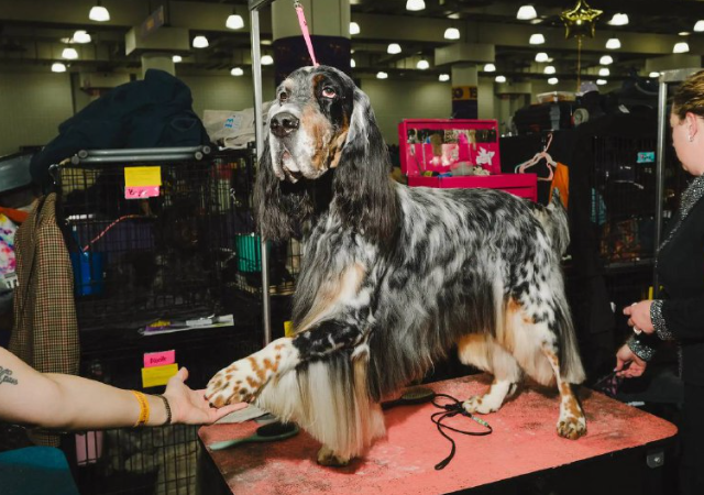 ��������� �������� ����� (7 ����)