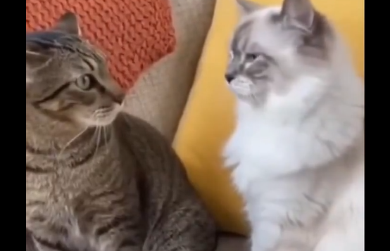 �������� � ����� (�����)