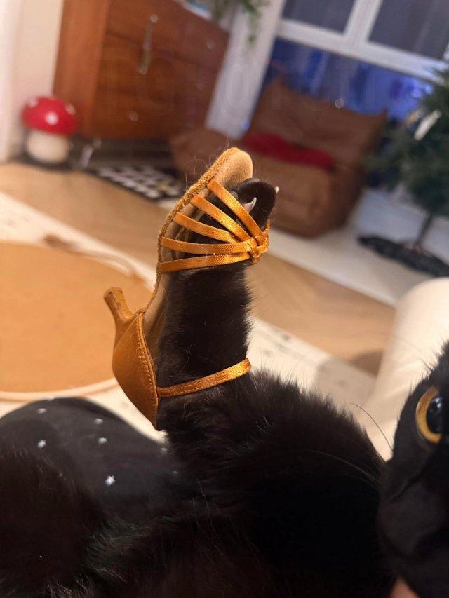 ��� �� ����� � ����� (4 ����)