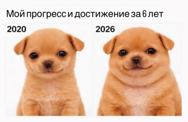 ������� �������� (15 ����)