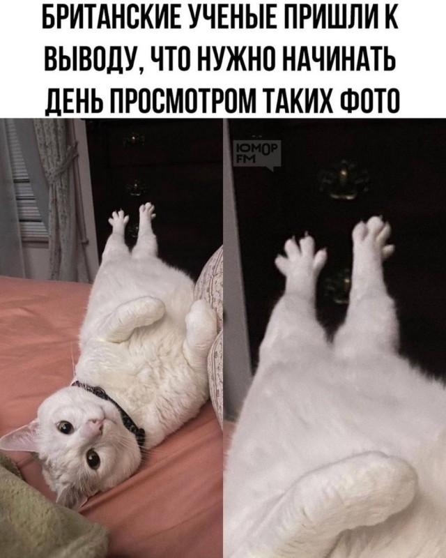 �������� ���������� ���� �3887 (30 ����)