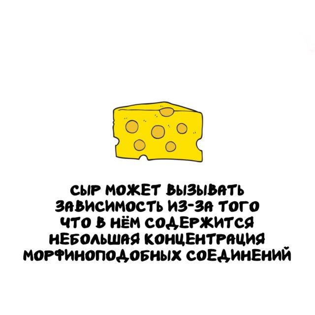 ���������� ����� �� ��� ������ ����� (15 ����)