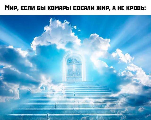 ������� �������� (15 ����)