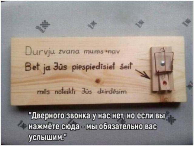 ������� ���� (15 ����)