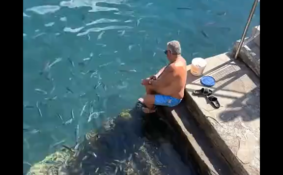 ������� (�����)