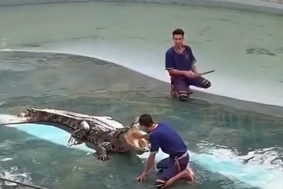 ���� � ���������� (�����)