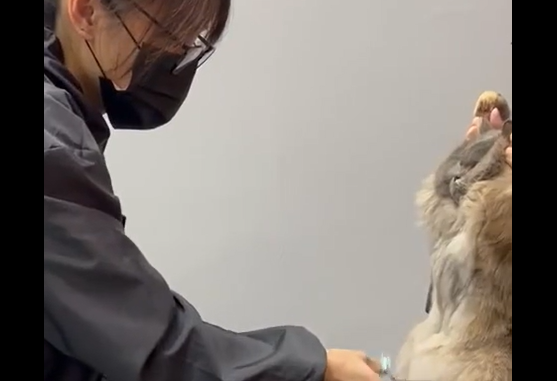 ����� ����� �������! (�����)