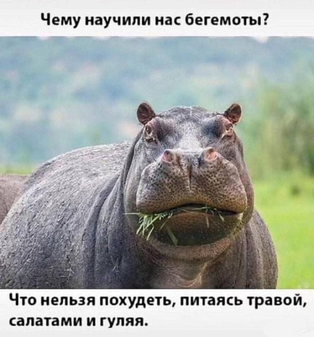 �������� ���������� ���� �3888 (30 ����)