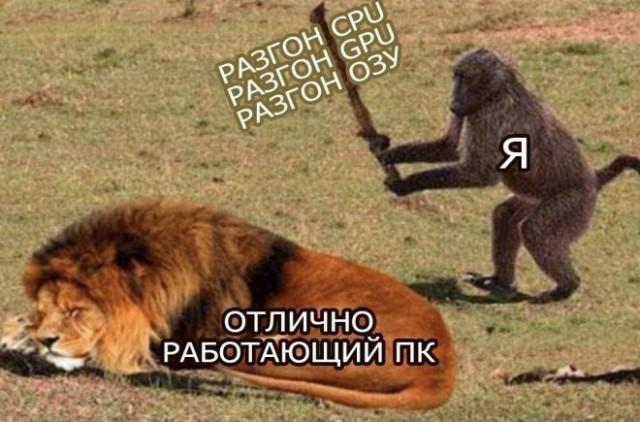 ������� �������� (15 ����)