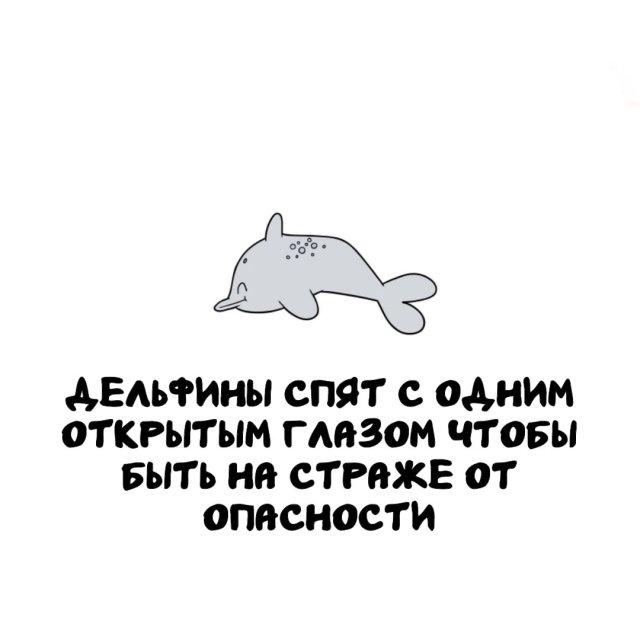 ���������� ����� �� ��� ������ ����� (15 ����)