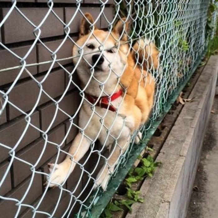 Так получилось (25 фото)