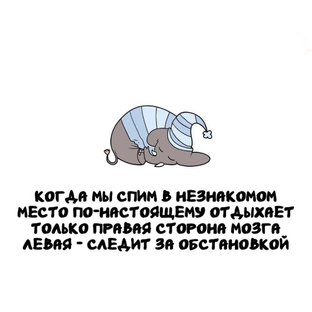 ���������� ����� �� ��� ������ ����� (15 ����)