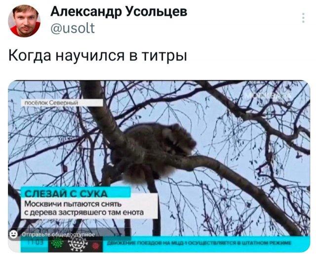 �������� �������� ������ ��� ���� (15 ����)