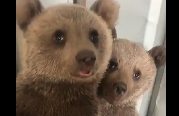 ����� � ����� �� ���! (�����)