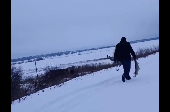 �������� ������� ���� (�����)