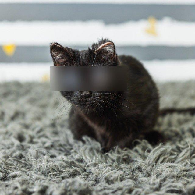 ������ � �����-�������� � ��������� ������������ ������� (4 ����)