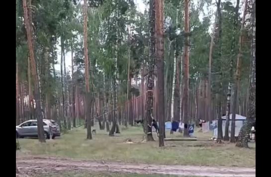 ����� ������� ����� (�����)