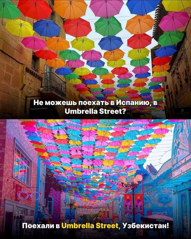 ���������� ������ ������� ����� � � ���� �������� ������� ������� � �������� ����������������������� (10 ����)