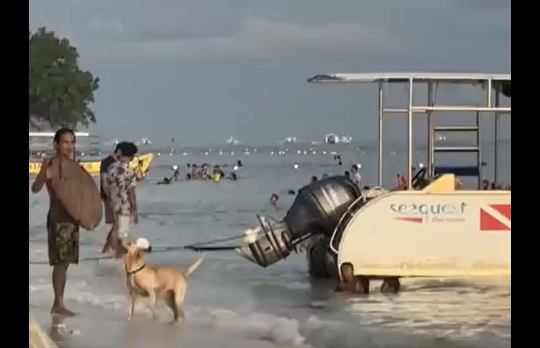 ��������� (�����)