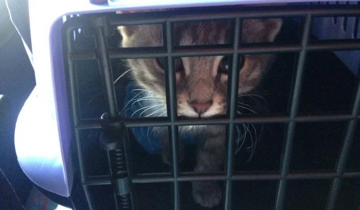 � ����� ��������� ������������ (�����)