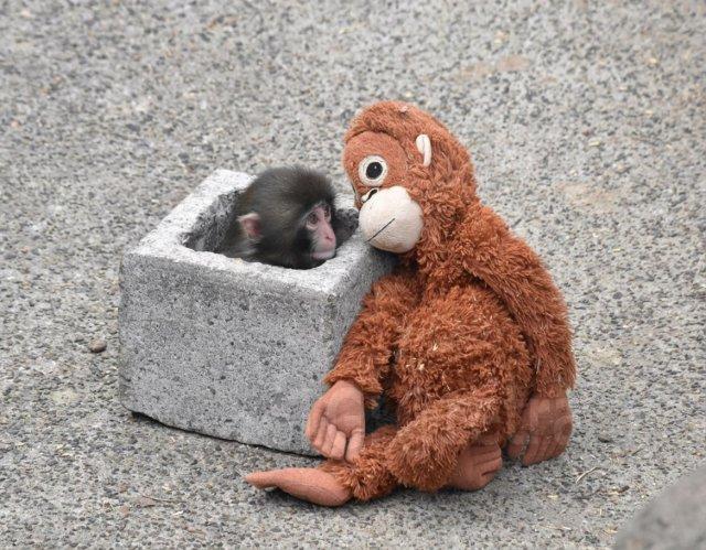 �������� ����, ������� ������ ��� ����� ������������, ����� "����": ��� ������ ��������? (5 ����)