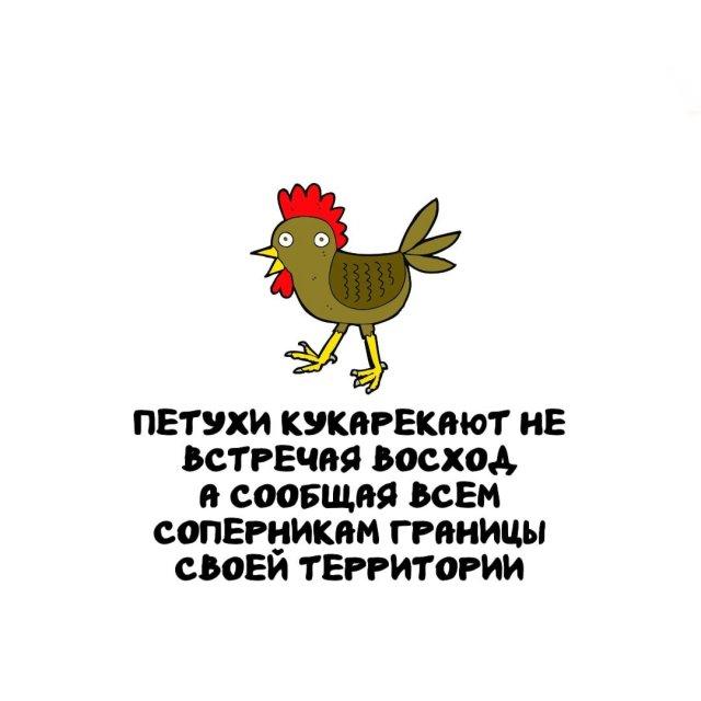 ���������� ����� �� ��� ������ ����� (15 ����)