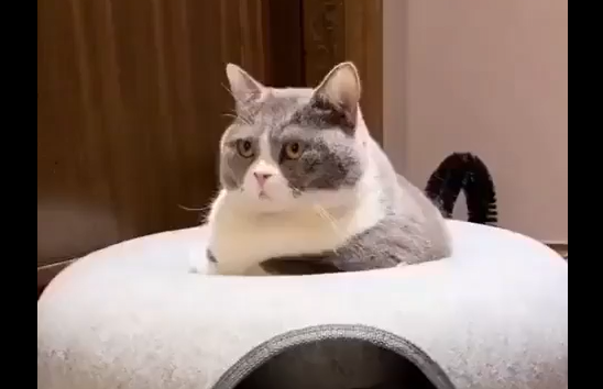 ����� ���� ������� � ��������� ������ � ������ ��������... (�����)