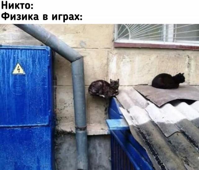 ������� �������� (15 ����)