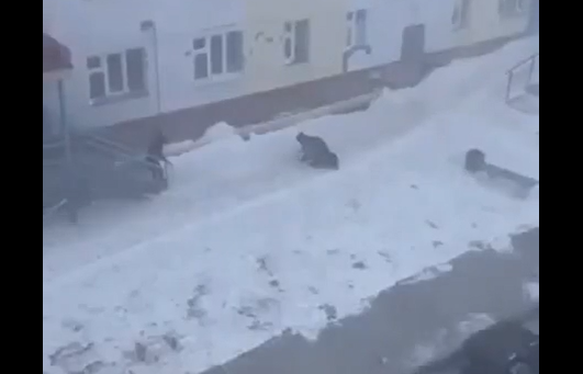 ����� �� ������� (�����)