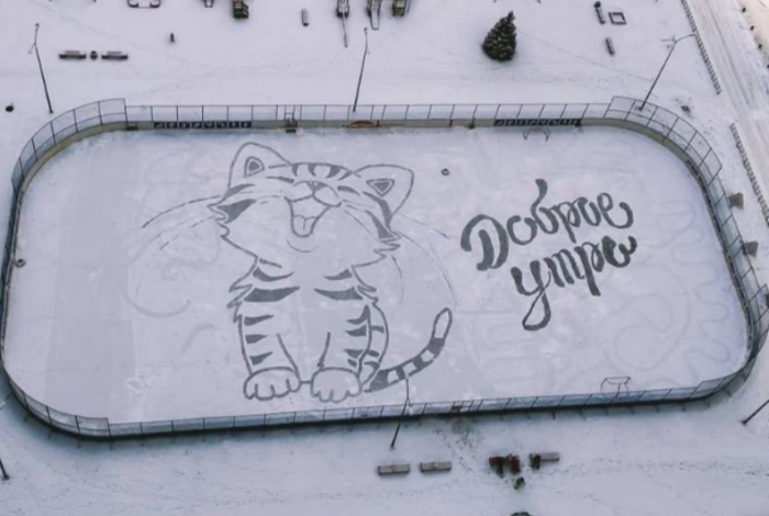 ������� ������ (9 ����)