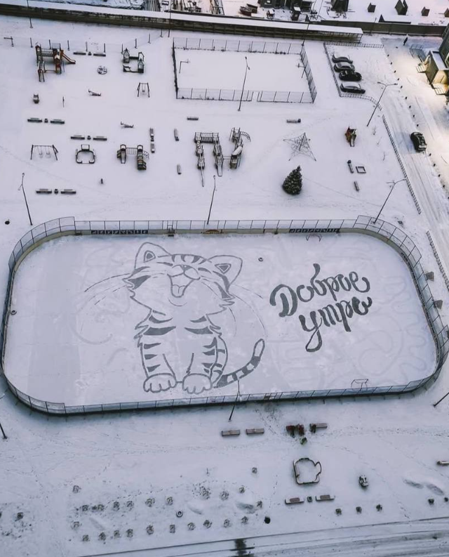 ������� ������ (9 ����)