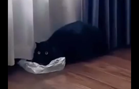 �� �� ���� �������? (�����)