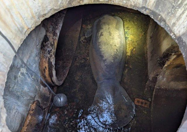 �� ������� ������ 186-�������������� ���������, ����������� � ����������� (2 ����)