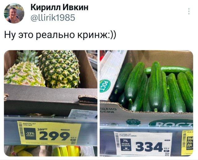 �������� �������� ������ ��� ���� (15 ����)