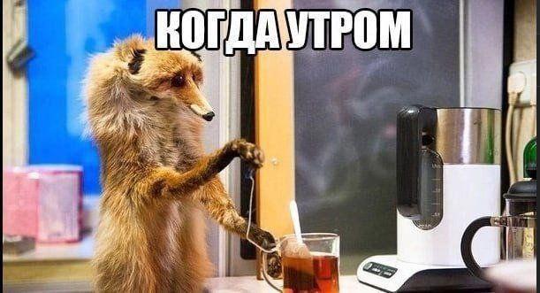 ������� �������� (15 ����)