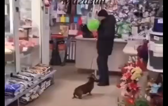 ����� ����� ������ (�����)