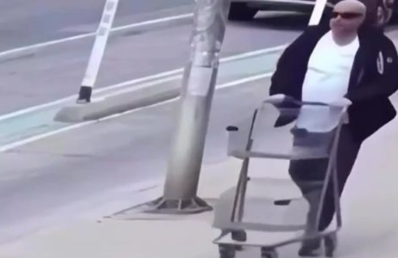 ������ ����������, � ����� ����������� (�����)