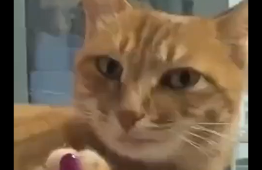 �������������� ����������� (�����)