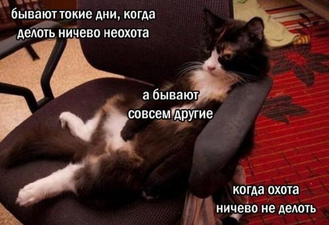 ������ ����� � ���� �� ���� (15 ����)