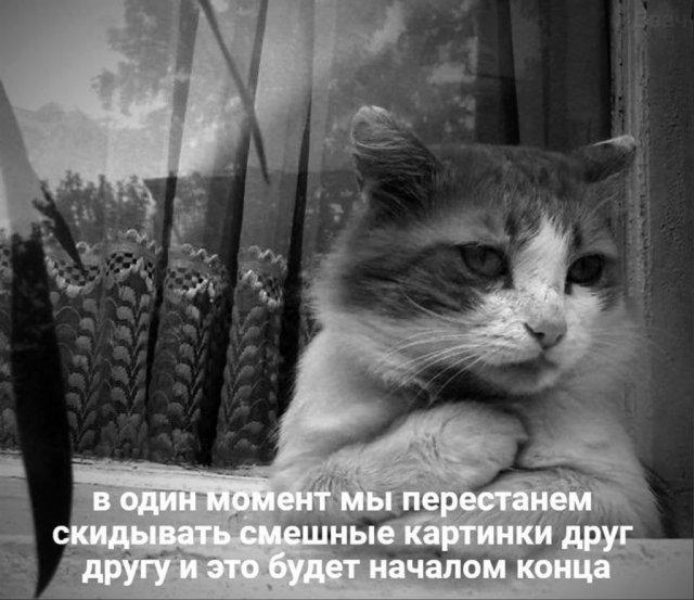 ������ ����� � ���� �� ���� (15 ����)