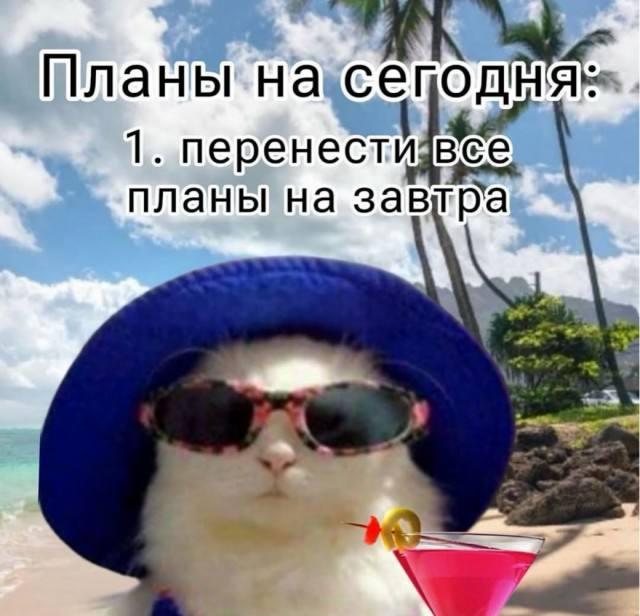 ������� �������� (15 ����)