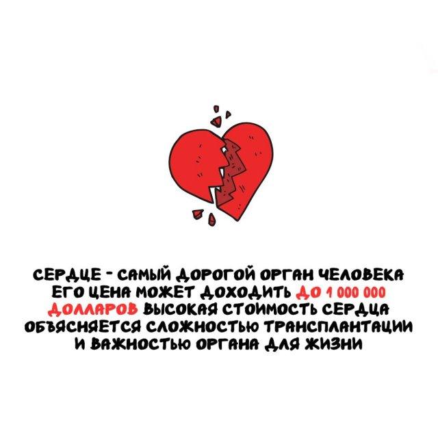 ���������� ����� �� ��� ������ ����� (15 ����)