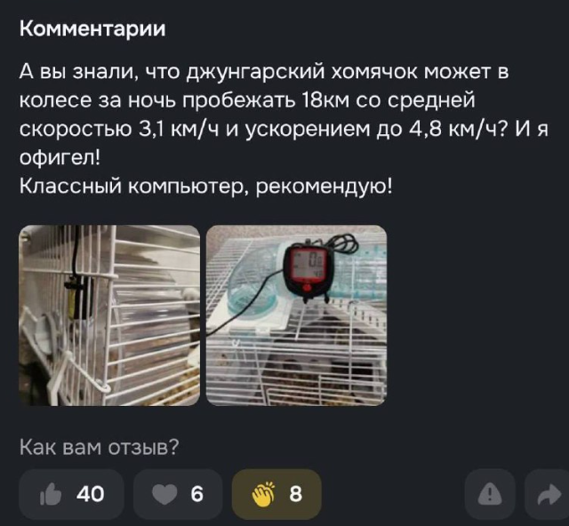 ����� ���� � ����������� ������� (2 ����)