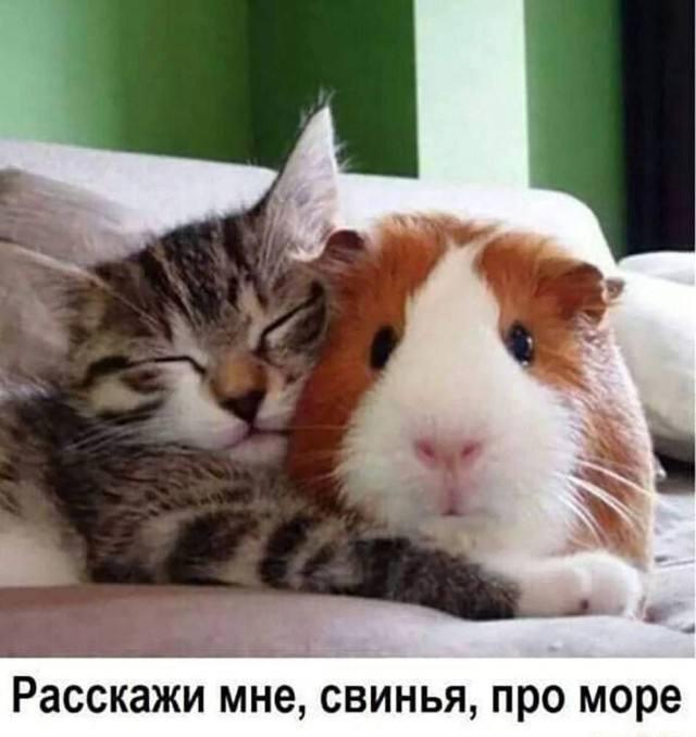 ������ ����� � ���� �� ���� (15 ����)