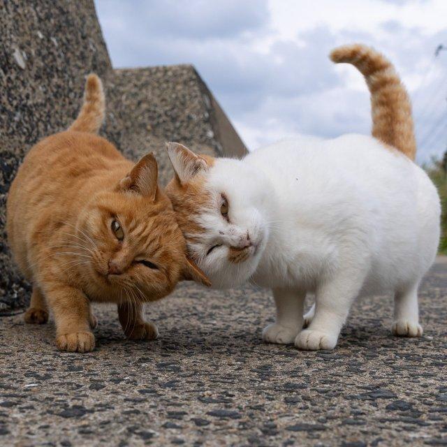 ������� ����� � ��������� ��������� ������� ��� (10 ����)