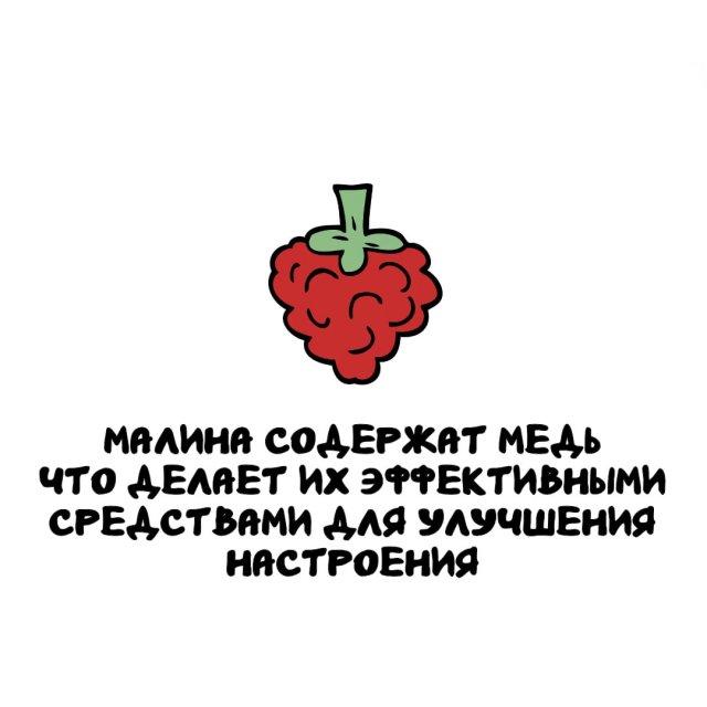 ���������� ����� �� ��� ������ ����� (15 ����)