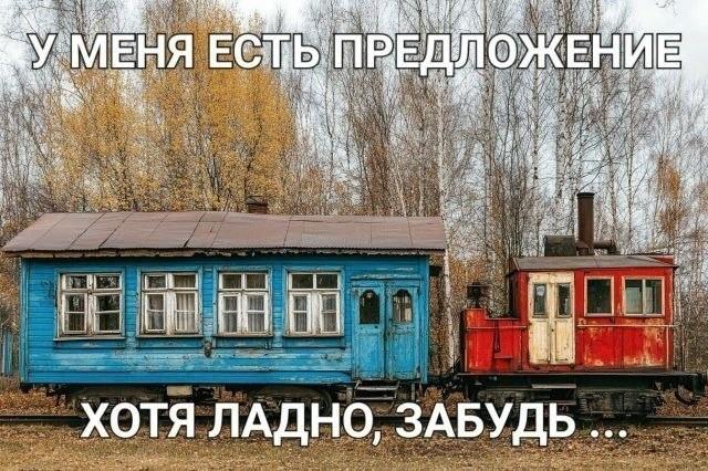 ������� �������� (15 ����)