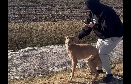 ������� ������ ������ ����� ������� ������ � ���� (�����)