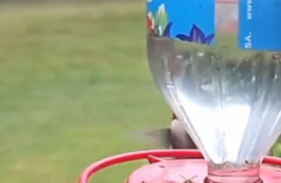 ������� ������ �����, ��� �� �������� ����� (�����)